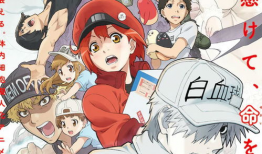 工作细胞动漫,揭秘工作细胞的奇幻旅程